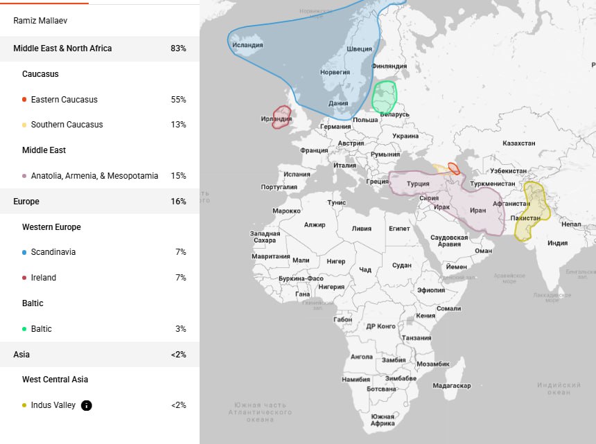 ff/y37 (2)