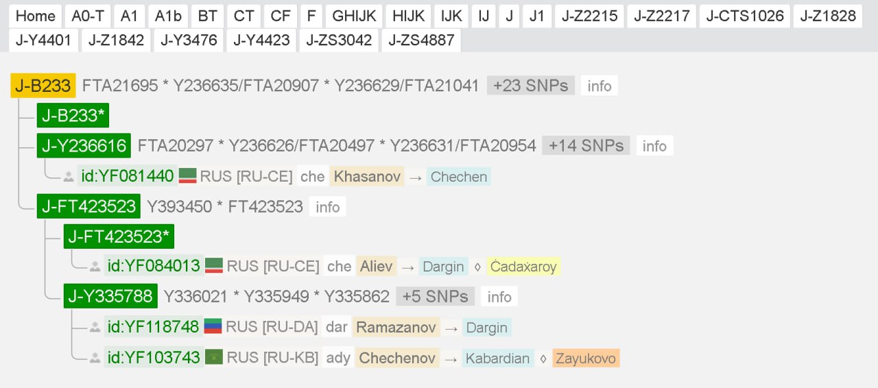 ff/y37 (2)