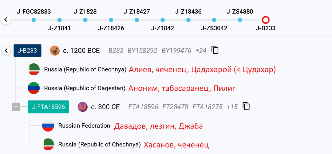 ff/y37