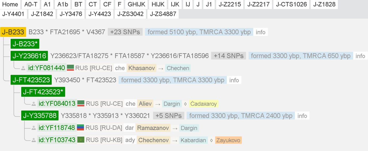 ff/y37 (2)
