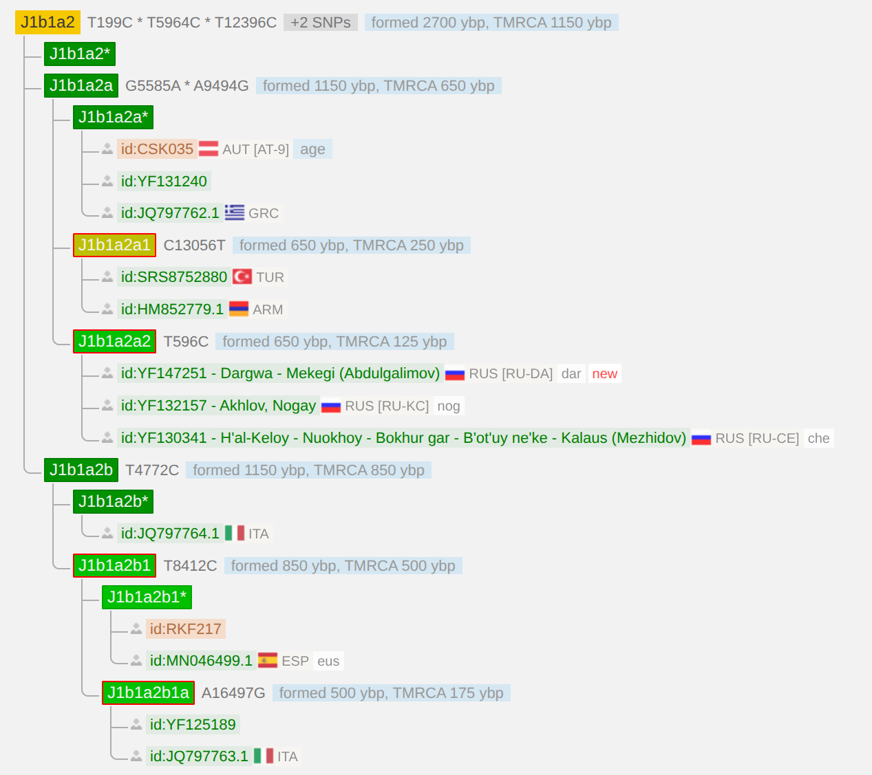 Ветка J1b1a2a → J1b1a2a2 (Mitotree) на дереве YFull