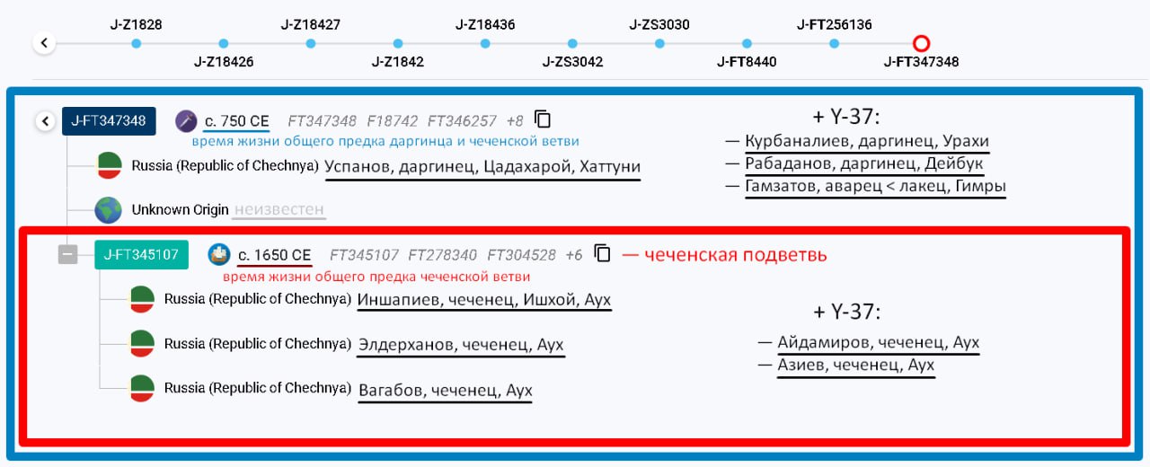 ff/y37 (2)