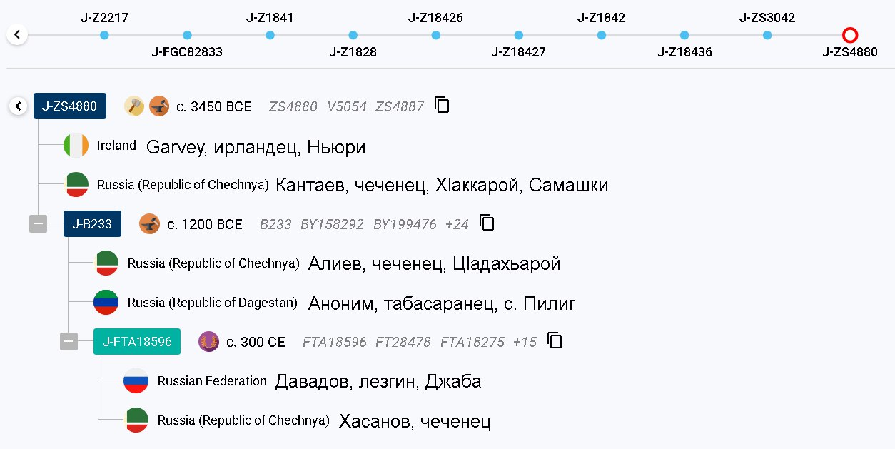 ff/y37