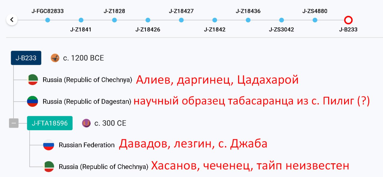 ff/y37
