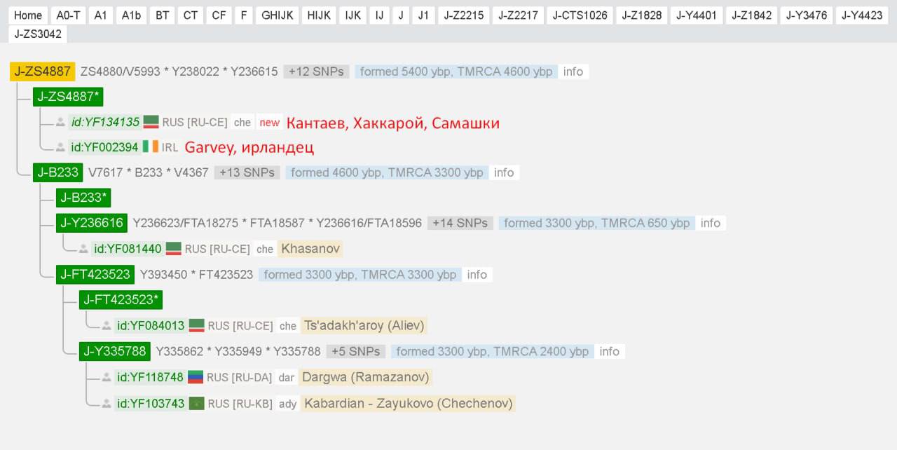 ff/y37 (2)
