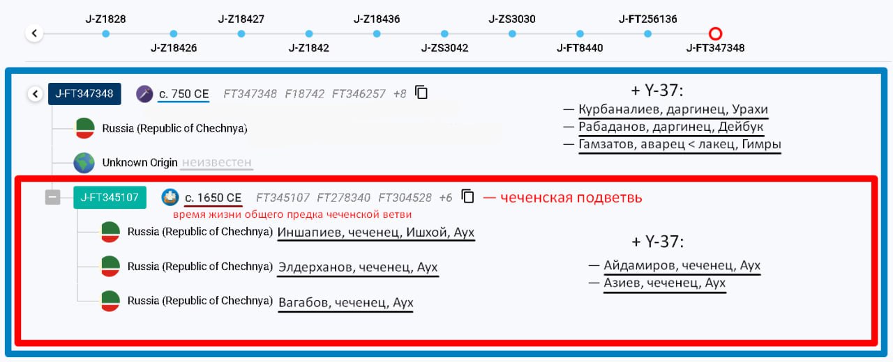 ff/y37