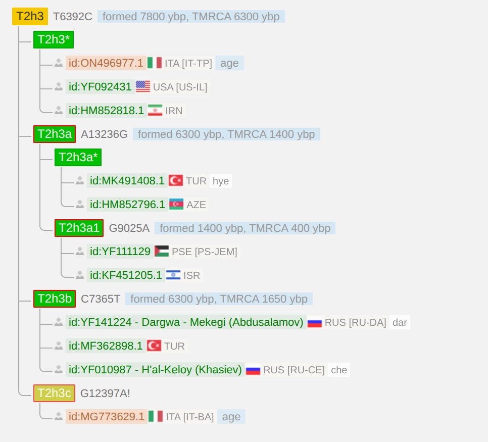 Ветка T2h3b на дереве YFull